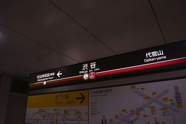 130318 shibuya DSC_0439.jpg